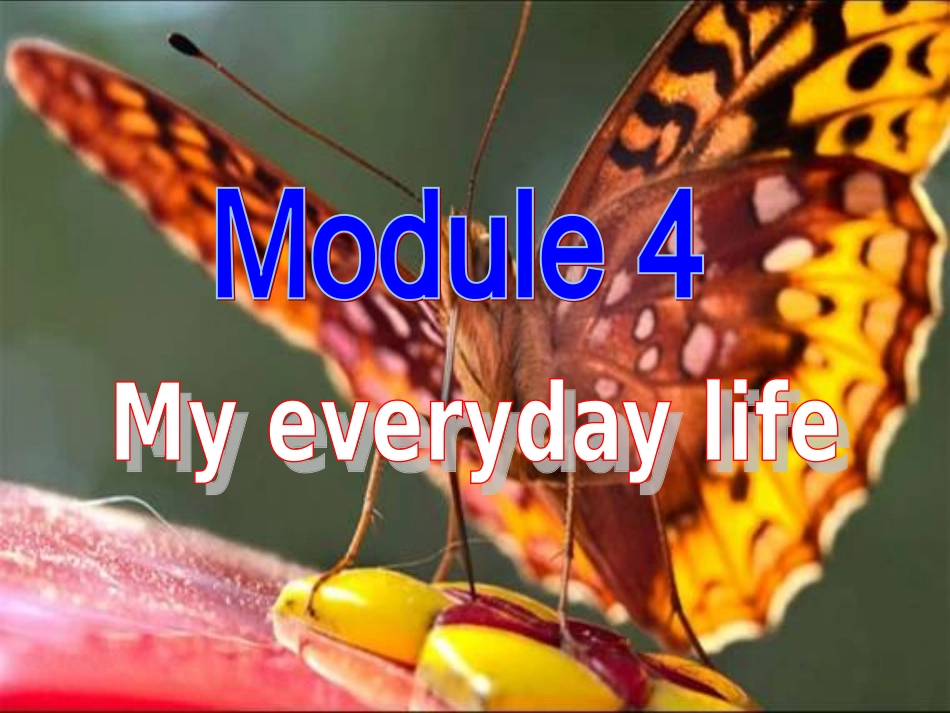 外研版英语七年级上册_Starter_Module_4_第2页