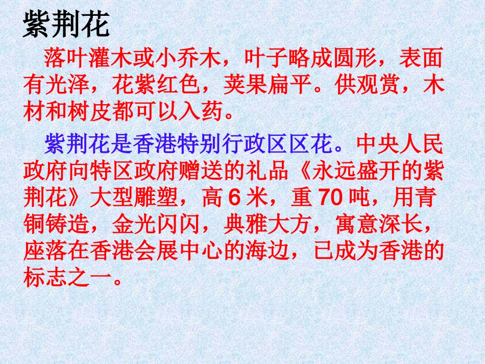 最后一分钟课件_第2页