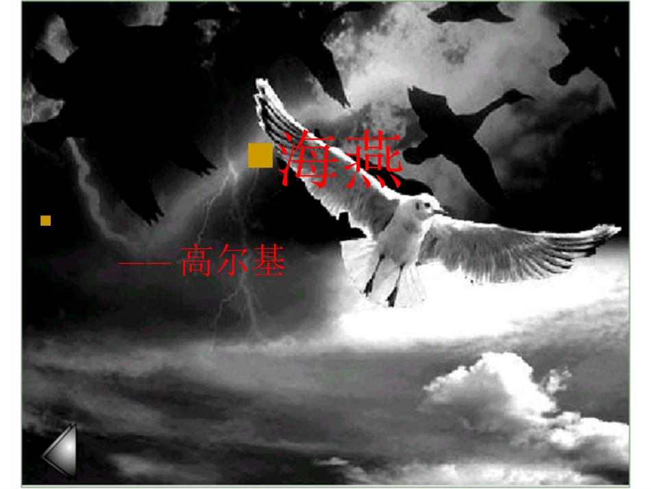 《海燕》PPT_第3页