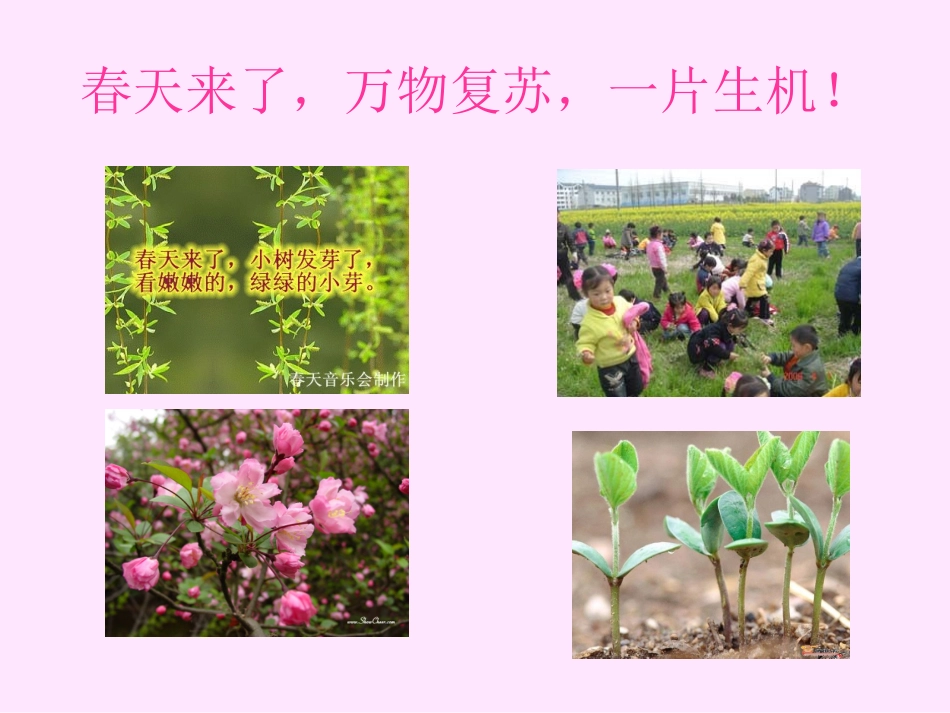 四下二5种子的萌发(1)_第2页