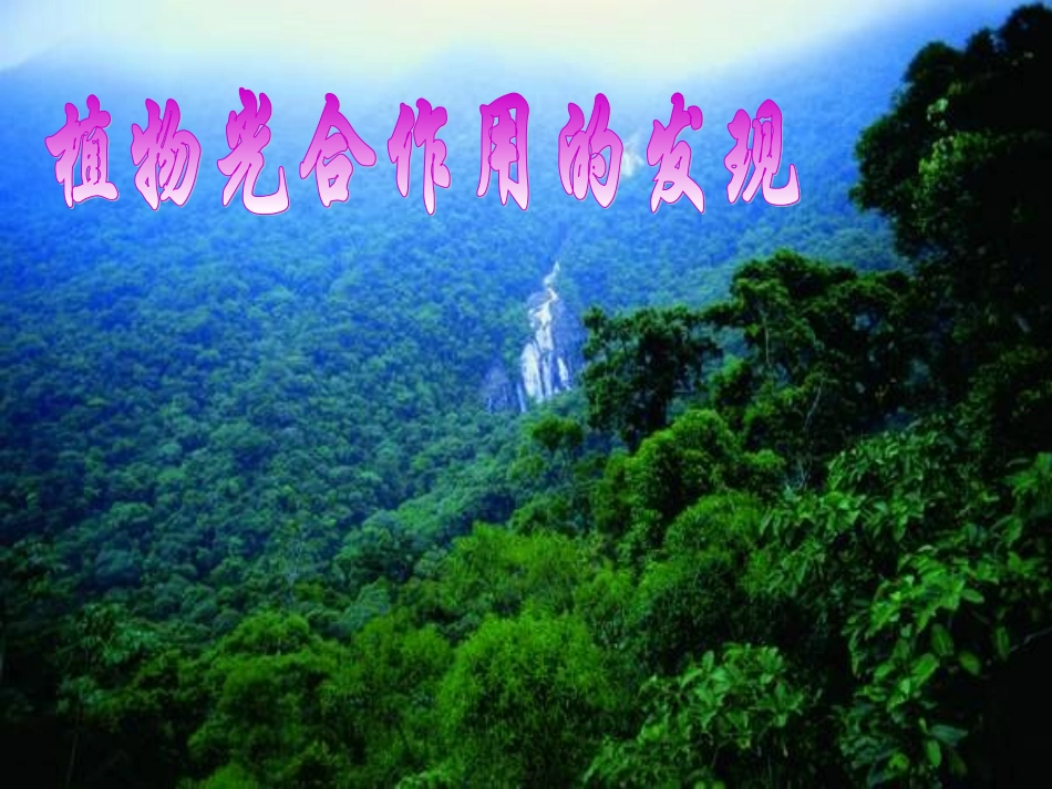 植物光合作用的发现课件_第1页