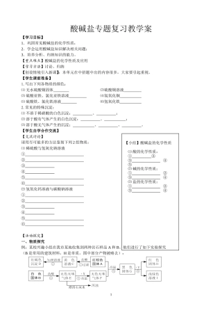 酸碱盐复习课教学案