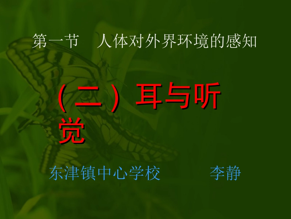 耳和听觉课件_第2页