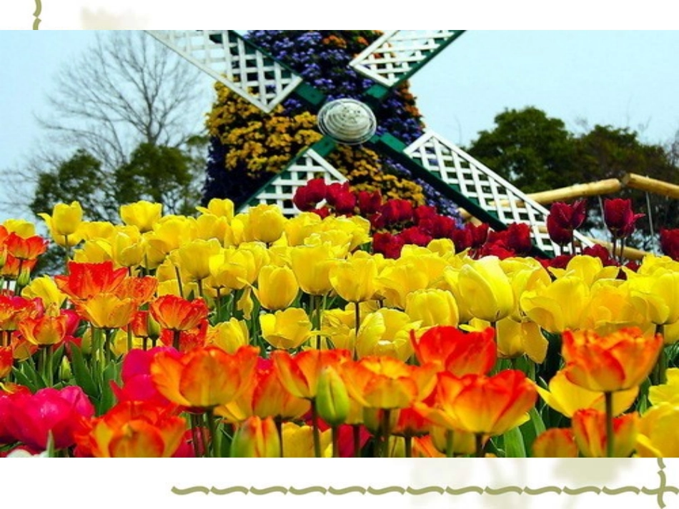 牧场之国课件 (2)_第1页