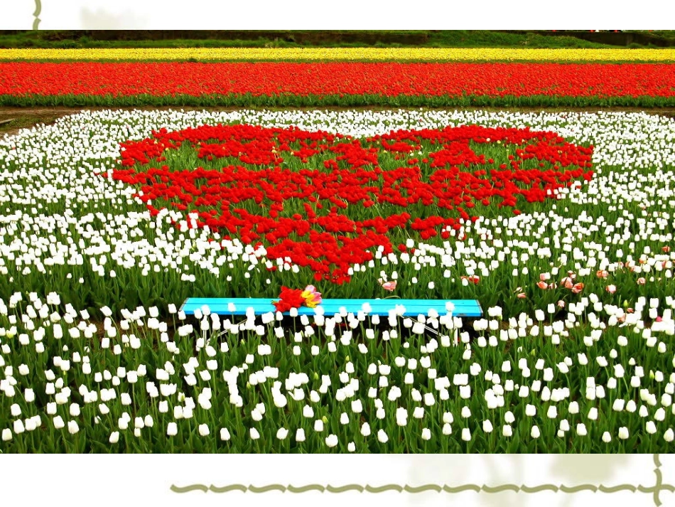 牧场之国课件 (2)_第2页