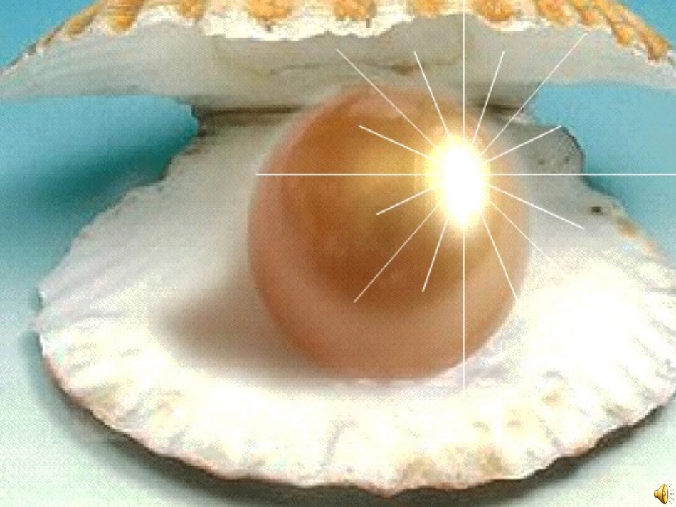 圆圆的沙粒第二课时3_第2页