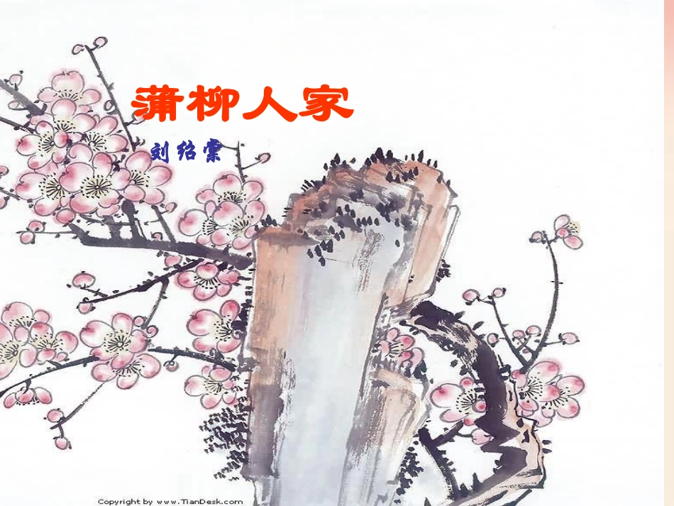 《蒲柳人家》课件_第1页