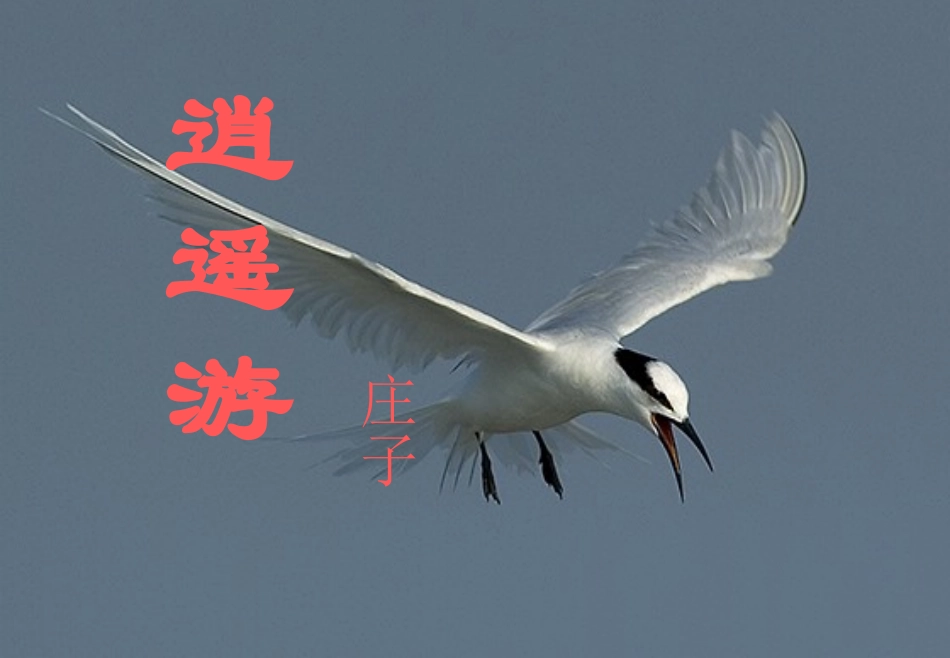 逍遥游课件2_第1页