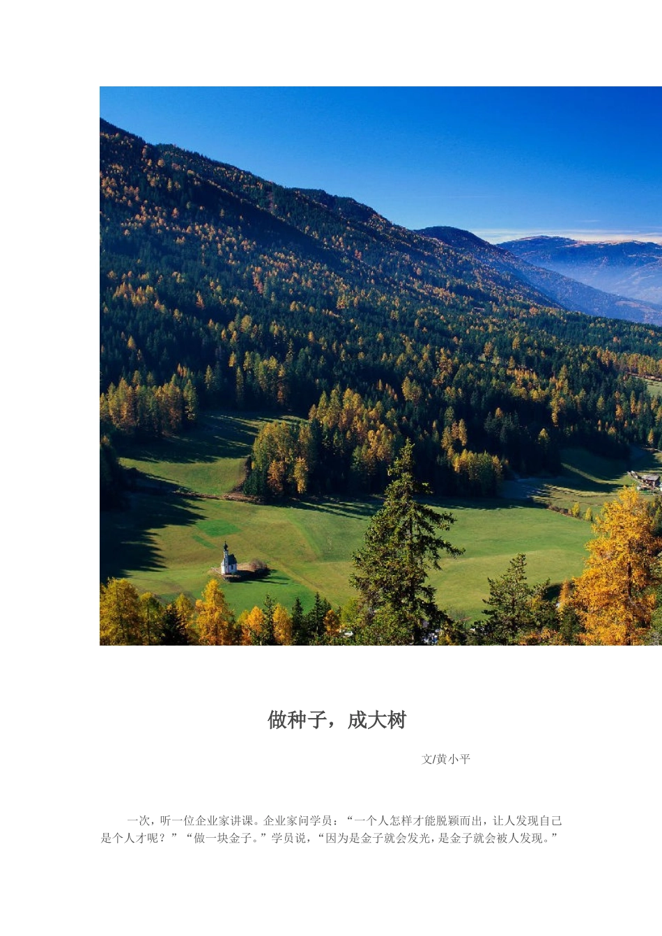 做种子成大树_第1页