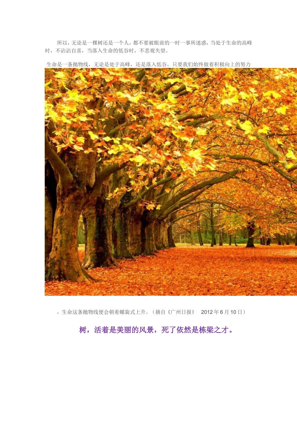 做种子成大树_第3页