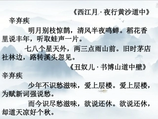《破阵子  为陈同甫赋壮词以寄之》教学课件