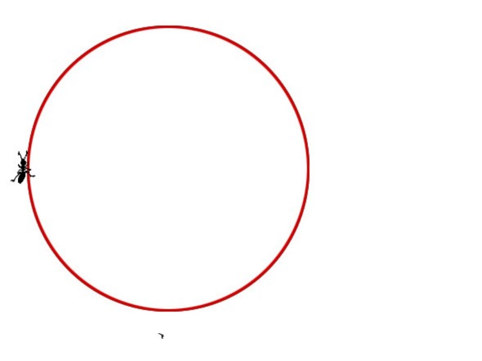 圆的周长2 (2)_第3页