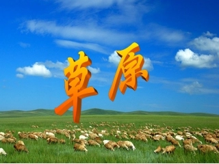 人教版五年级下《草原》