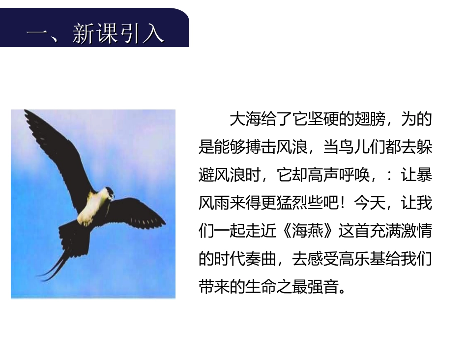 九年级下册《海燕》课件_第3页