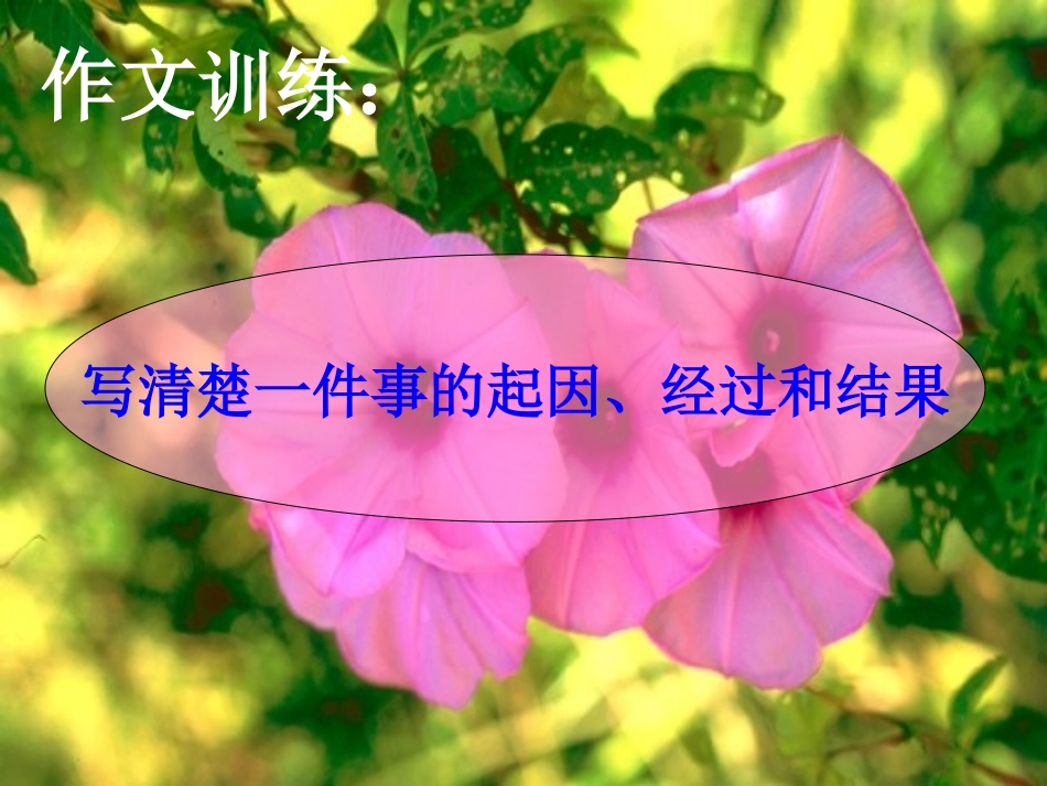 写作写清楚一件事的起因经过和结果_第1页