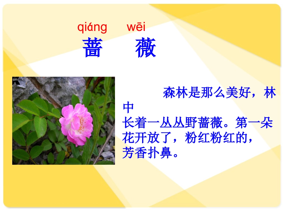 《我不是最弱小的》课件（17页）_第2页