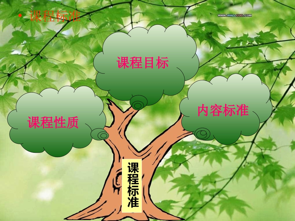 说课标,说教材_第3页