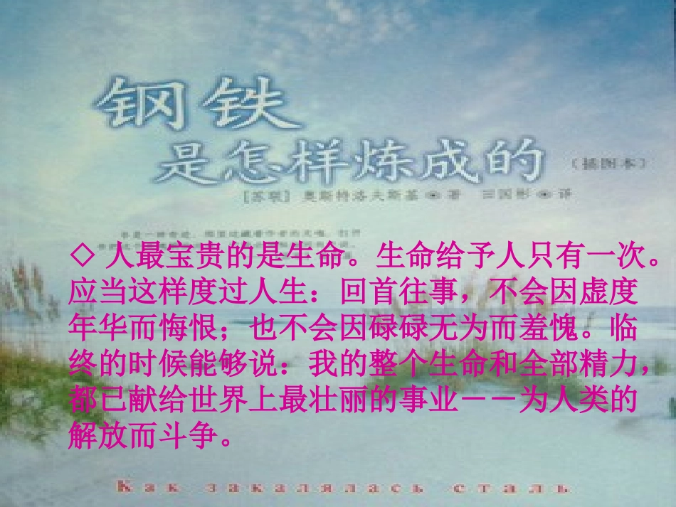《钢铁是怎样炼成的》_第3页