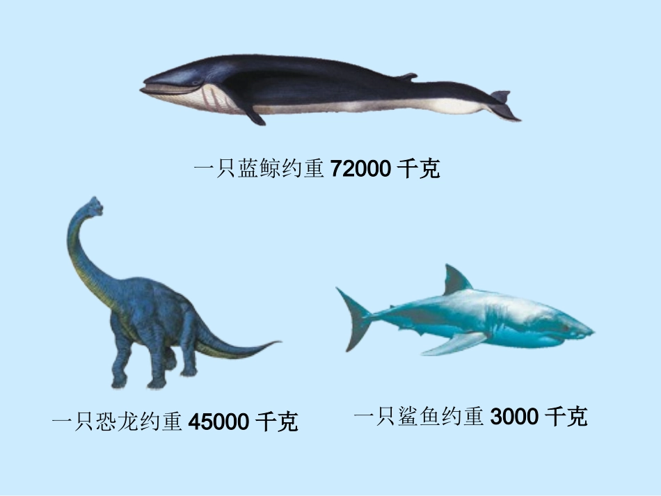 《吨的认识》课件_第2页