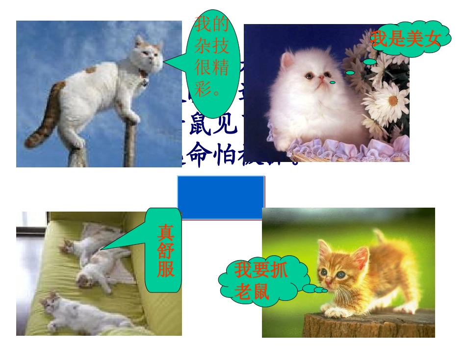 老舍《猫》课件_第2页