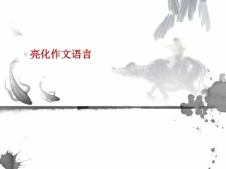 亮化作文语言