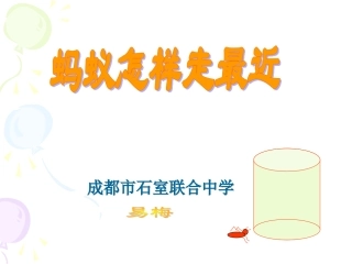 蚂蚁怎样走最近演示文稿 (2)