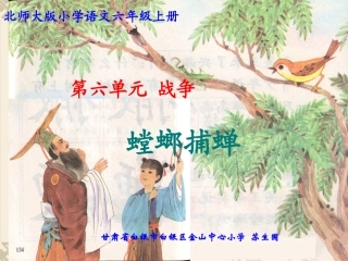 螳螂捕蝉(课件)