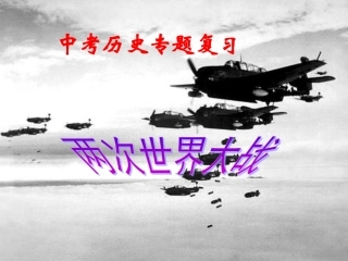 两次世界大战专题复习