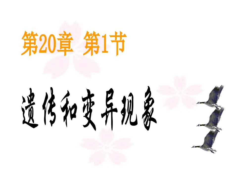 遗传和变异课件_第1页
