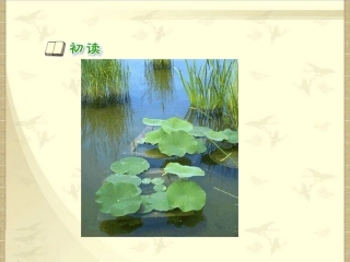 新课标人教版语文一年级下册古诗两首《小池》课件