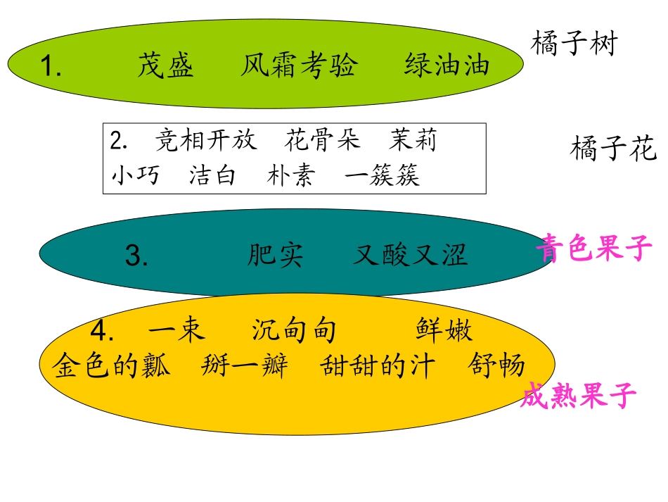 （西师大版）三年级语文上册课件家乡的红橘2_第3页
