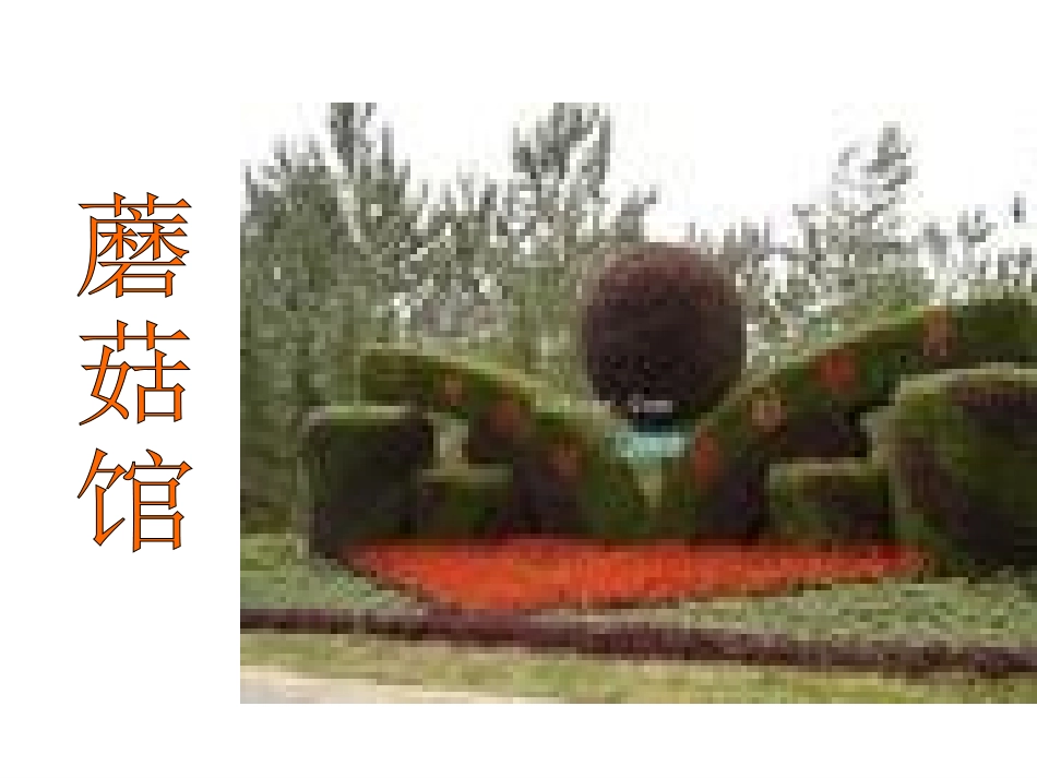 北师大版数学三年级上册《分桃子》PPT课件之二_第2页