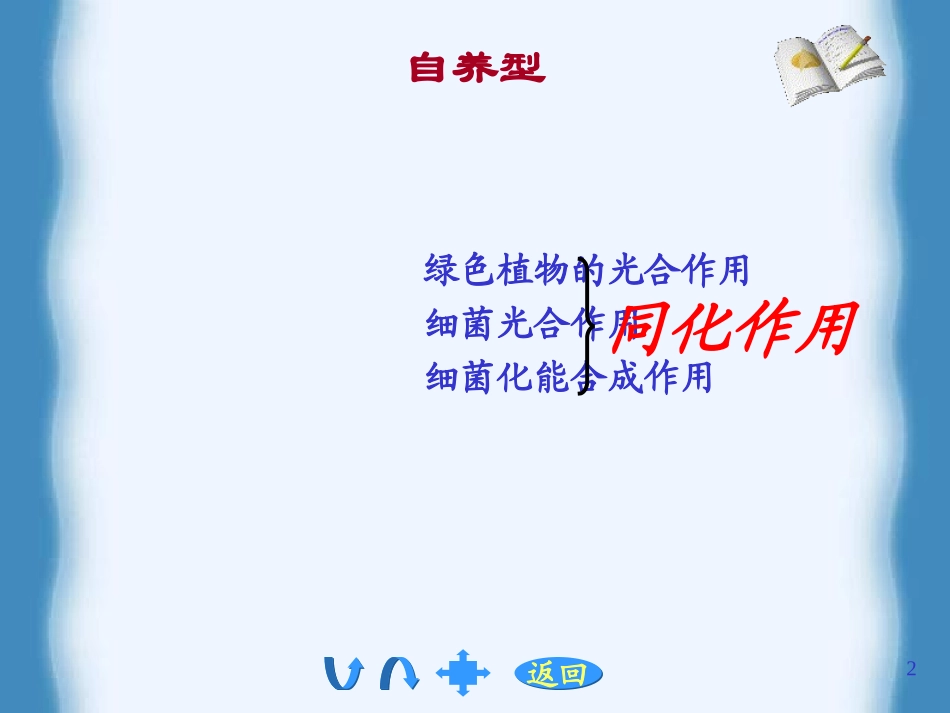 生物奥赛之光合作用_第2页