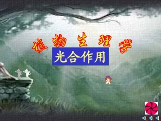 生物奥赛之光合作用