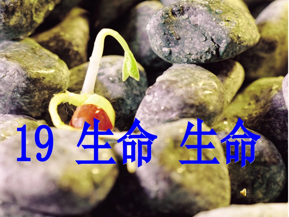 生命_生命__第1页