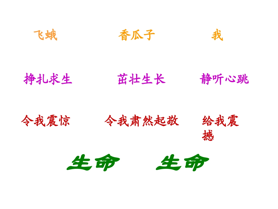 生命_生命__第2页