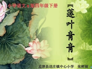 讲课莲叶青青