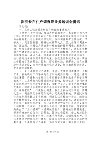副县长在住户调查暨业务培训会讲话发言