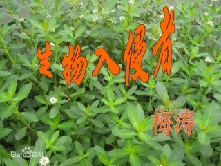 生物入侵者PPT