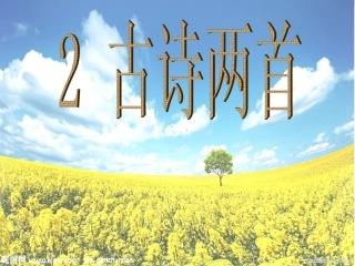 古诗两首二年级下册人教版