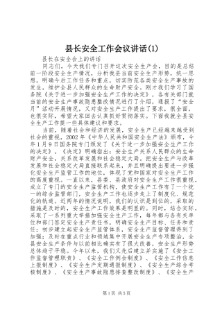 县长安全工作会议讲话发言(1)