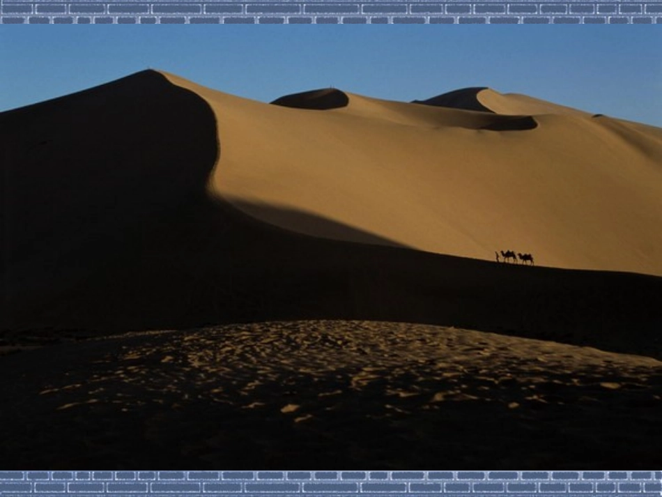 沙漠之舟(北师大版小学语文四年级下册课件)_第3页