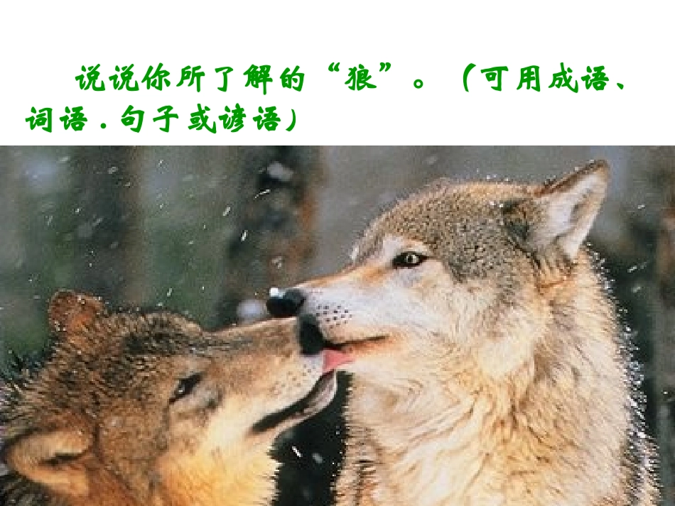 蒲松龄狼 (2)_第2页