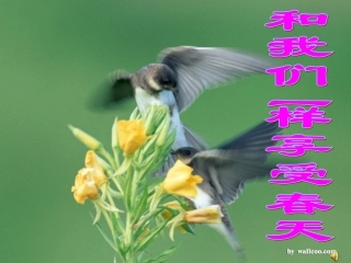 和我们一样享受春天 (3)