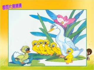 《巨人的花园》教学课件