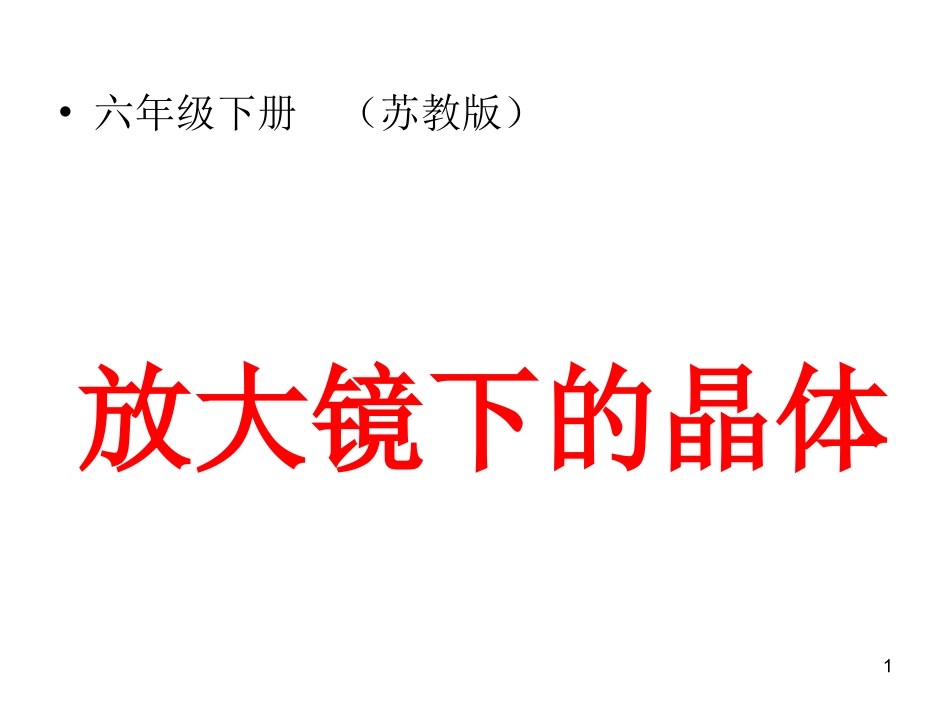 放大镜下的晶体（六年级下册）苏教版_第1页