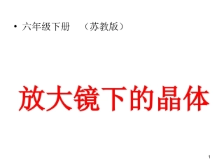 放大镜下的晶体（六年级下册）苏教版