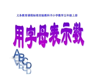 用字母表示数3 (2)