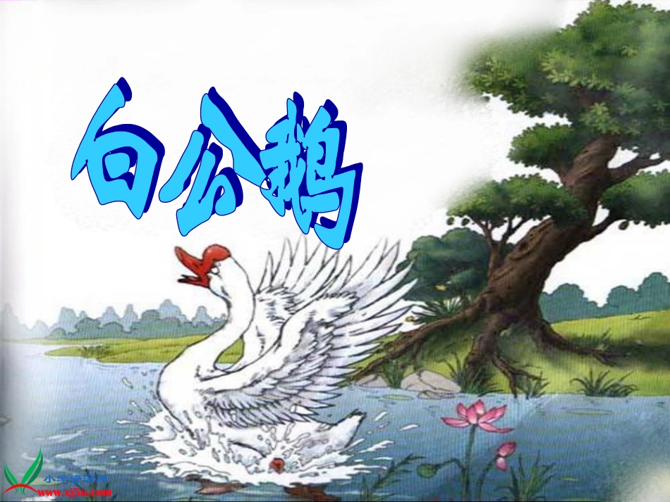 白公鹅(4)_第2页