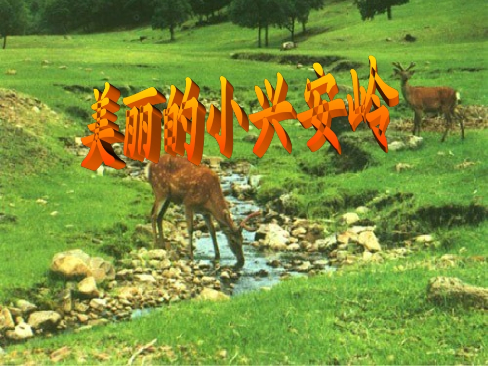 美丽的小兴安岭PPT课件_第1页